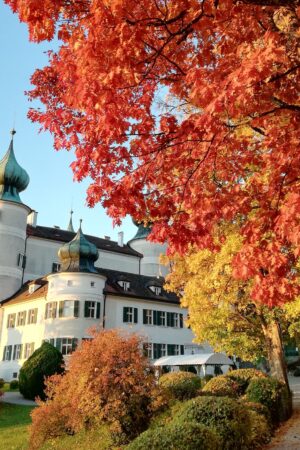 GOLDENER-HERBST-Wochenenden