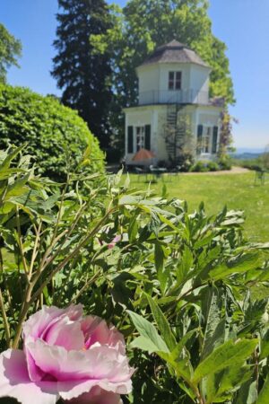 Park-Führung „Baum-Geheimnisse“