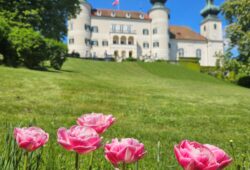 Park von Schloss Artstetten – historischer Schlosspark in Niederösterreich