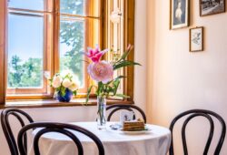 Schlosscafé im Schloss Artstetten – Ausflugsziel in Niederösterreich