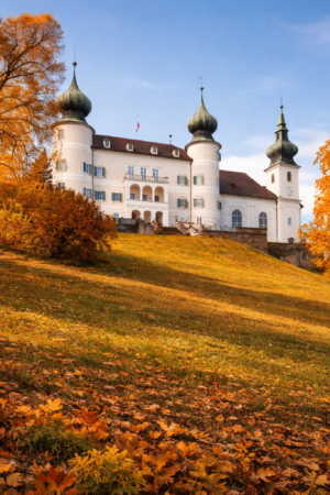 GOLDENER-HERBST-Saison