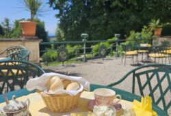 Schlosscafé im Schloss Artstetten – Ausflugsziel in Niederösterreich
