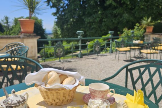 Schlosscafé im Schloss Artstetten – Ausflugsziel in Niederösterreich