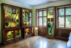 Museum im Schloss Artstetten – Ausstellung zu Erzherzog Franz Ferdinand und Herzogin Sophie Chotek